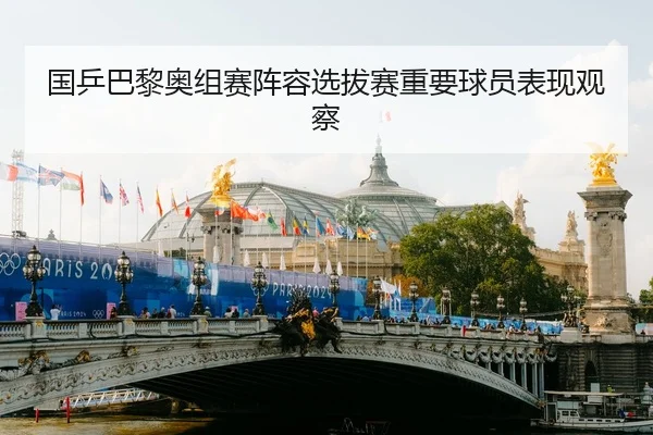国乒巴黎奥组赛阵容选拔赛重要球员表现观察
